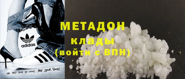 прущие грибы Богданович