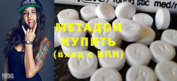 прущие грибы Богданович