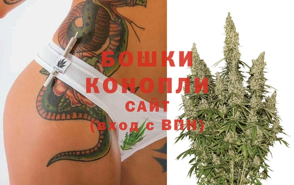 прущие грибы Богданович