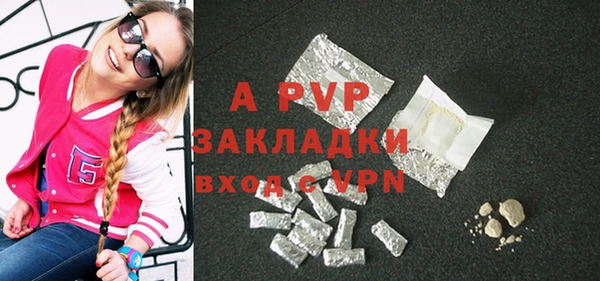 прущие грибы Балабаново
