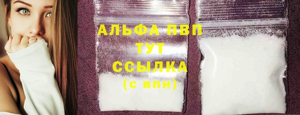 прущие грибы Богданович
