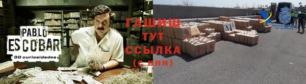 прущие грибы Богданович